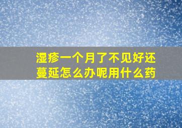 湿疹一个月了不见好还蔓延怎么办呢用什么药