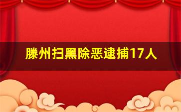 滕州扫黑除恶逮捕17人