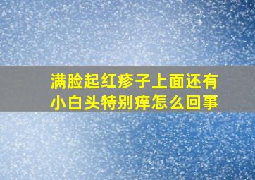 满脸起红疹子上面还有小白头特别痒怎么回事