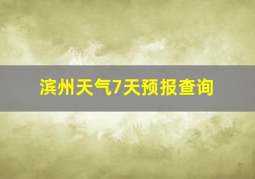 滨州天气7天预报查询