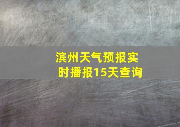 滨州天气预报实时播报15天查询