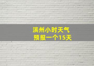 滨州小时天气预报一个15天