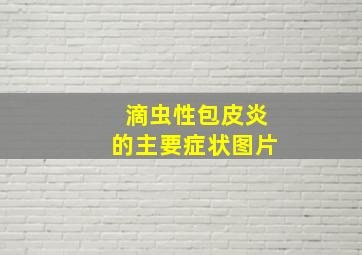 滴虫性包皮炎的主要症状图片