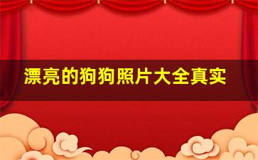 漂亮的狗狗照片大全真实