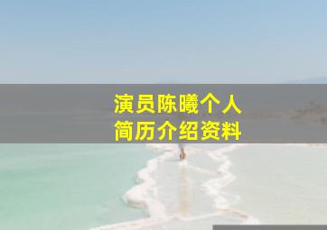 演员陈曦个人简历介绍资料