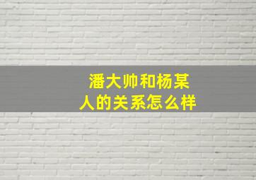 潘大帅和杨某人的关系怎么样