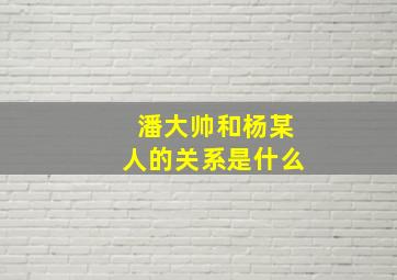 潘大帅和杨某人的关系是什么