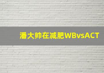 潘大帅在减肥WBvsACT