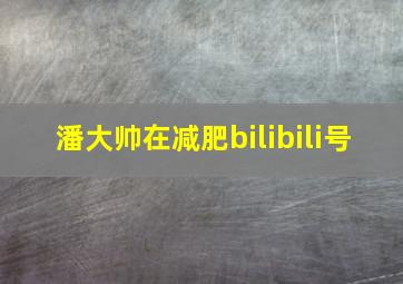 潘大帅在减肥bilibili号