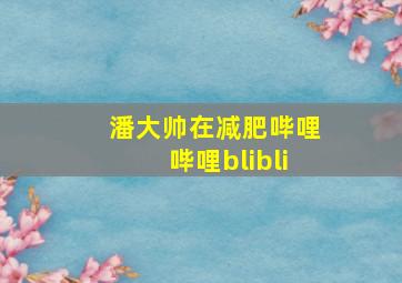 潘大帅在减肥哔哩哔哩blibli