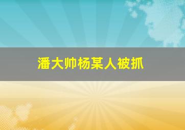 潘大帅杨某人被抓