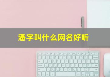 潘字叫什么网名好听