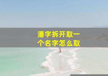 潘字拆开取一个名字怎么取