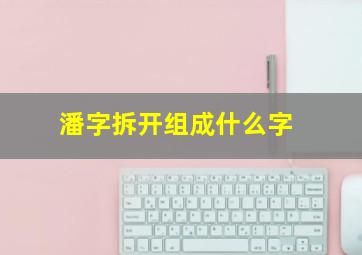 潘字拆开组成什么字