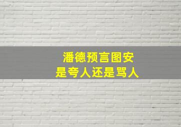 潘德预言图安是夸人还是骂人