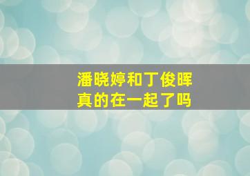 潘晓婷和丁俊晖真的在一起了吗