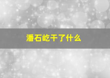 潘石屹干了什么