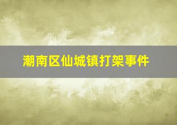 潮南区仙城镇打架事件