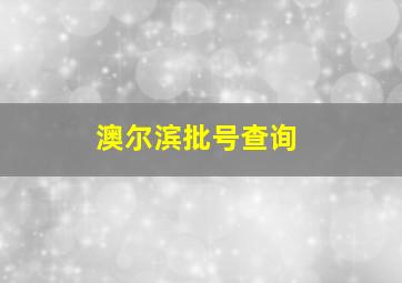 澳尔滨批号查询