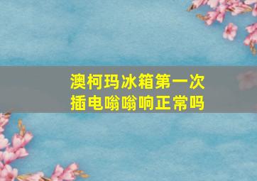 澳柯玛冰箱第一次插电嗡嗡响正常吗