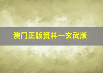 澳门正版资料一玄武版