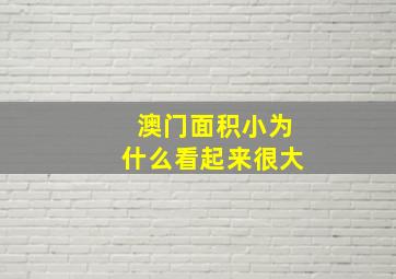 澳门面积小为什么看起来很大