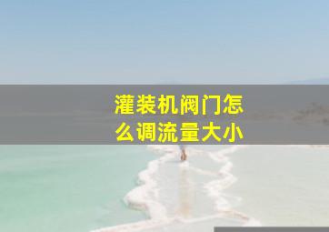 灌装机阀门怎么调流量大小