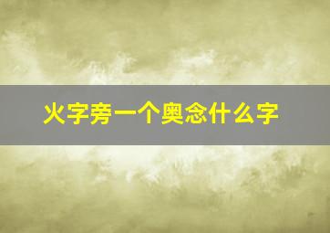 火字旁一个奥念什么字