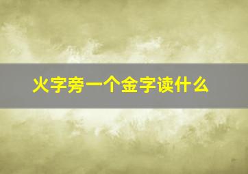 火字旁一个金字读什么