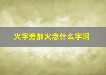 火字旁加火念什么字啊