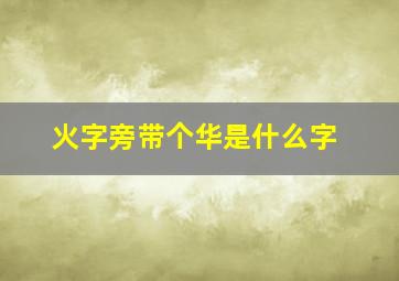 火字旁带个华是什么字