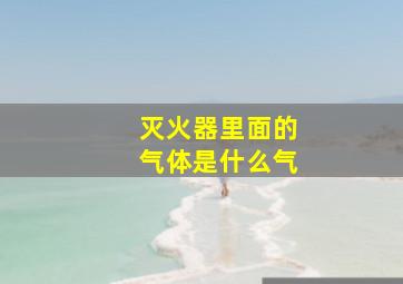 灭火器里面的气体是什么气