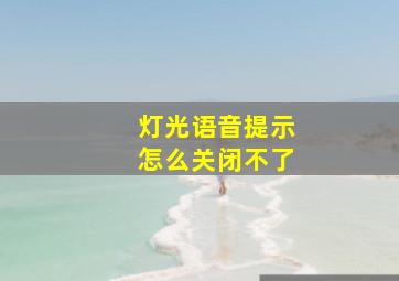 灯光语音提示怎么关闭不了