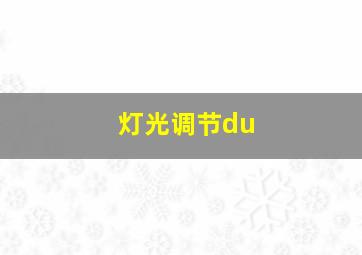 灯光调节du