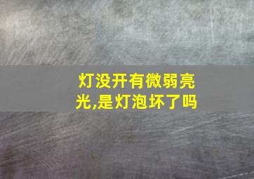 灯没开有微弱亮光,是灯泡坏了吗