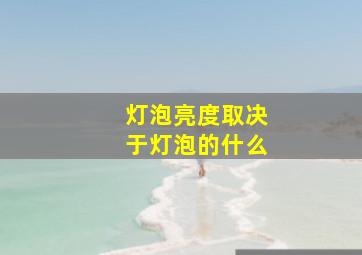 灯泡亮度取决于灯泡的什么