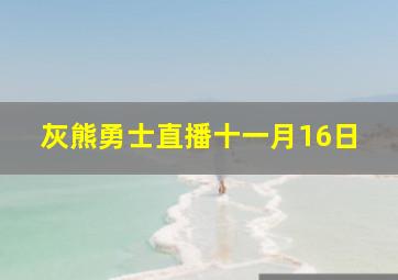 灰熊勇士直播十一月16日