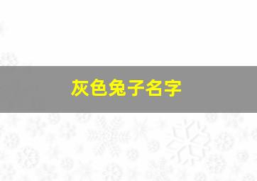 灰色兔子名字