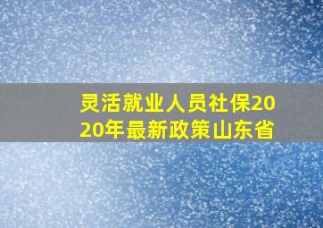 灵活就业人员社保2020年最新政策山东省