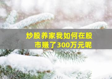 炒股养家我如何在股市赚了300万元呢