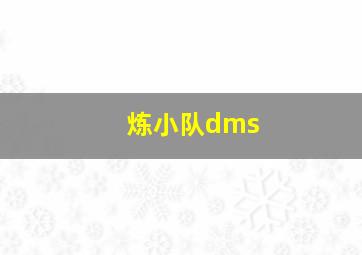 炼小队dms