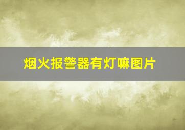 烟火报警器有灯嘛图片