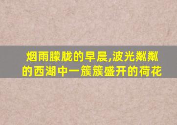 烟雨朦胧的早晨,波光粼粼的西湖中一簇簇盛开的荷花