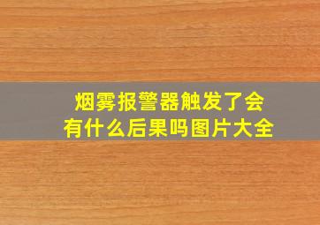 烟雾报警器触发了会有什么后果吗图片大全