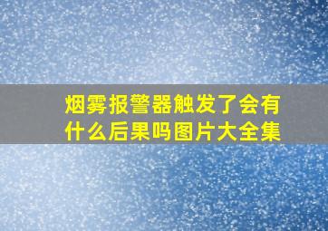 烟雾报警器触发了会有什么后果吗图片大全集