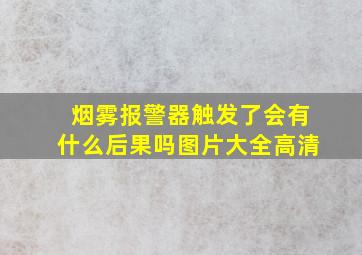 烟雾报警器触发了会有什么后果吗图片大全高清