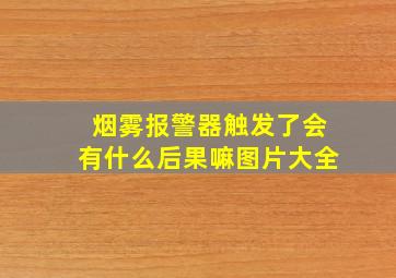 烟雾报警器触发了会有什么后果嘛图片大全