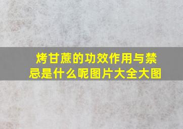 烤甘蔗的功效作用与禁忌是什么呢图片大全大图