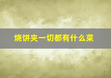 烧饼夹一切都有什么菜