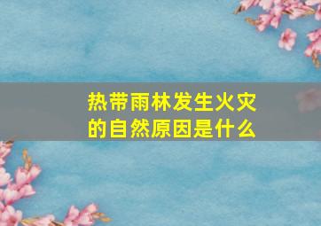 热带雨林发生火灾的自然原因是什么